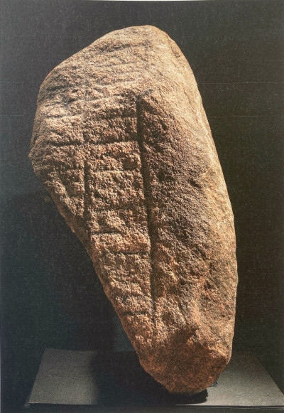 foto_basse_9.jpg foto_basse_9.jpg